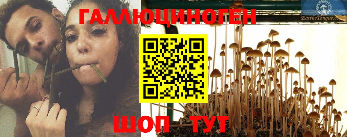 Галлюциногенные грибы MAGIC MUSHROOMS  Вход с VPN  Свободный 